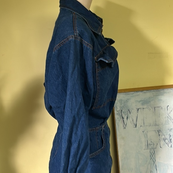 Impromptu Vintage Full Zip Denim Dress - Picture 4 of 6